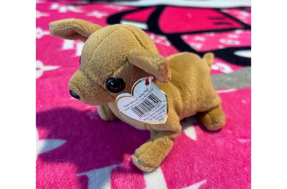 Ty Beanie Baby Tiny Chihuahua Dog Plush 1998 Brown Original Heart Tag Retired
